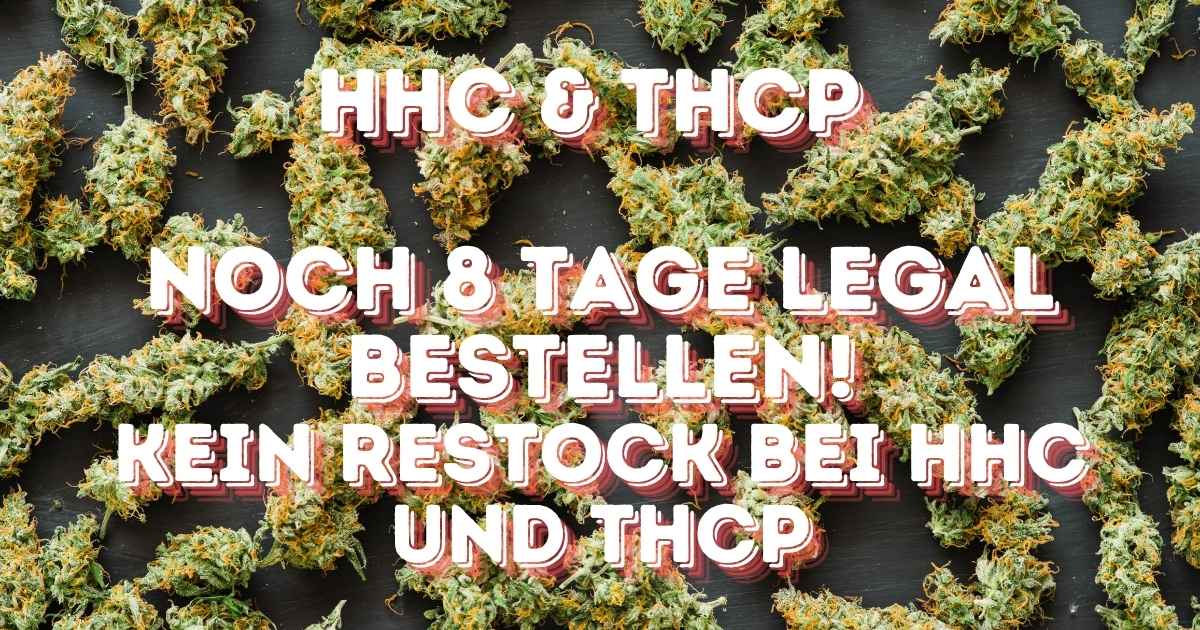 Hinten sind Cannabisblüten und vorne steht HHC & THCP Noch 8 Tage legal bestellen! Kein Restock bei HHC und THCP in roter Schrift