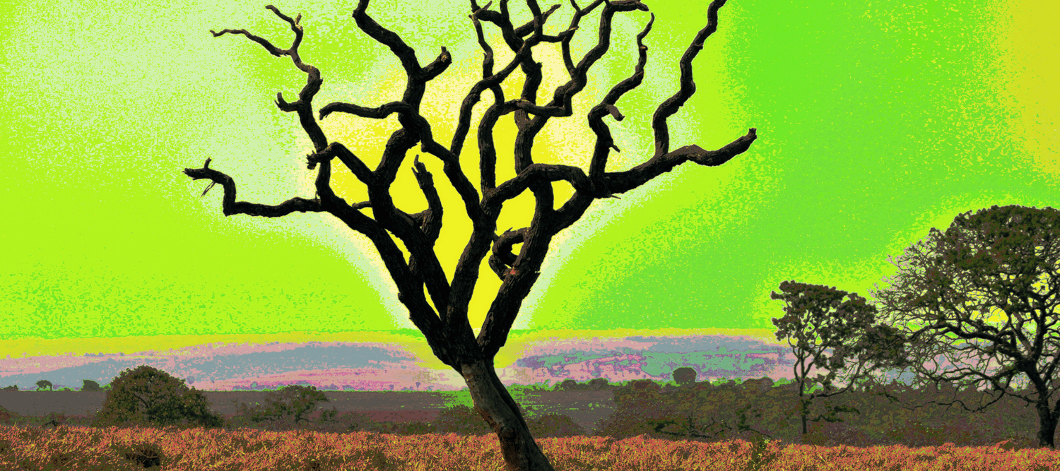 Ein Baum ohne Blätter in Schwarz mit neon gründen und gelben Hintergrund wie eine Savannah