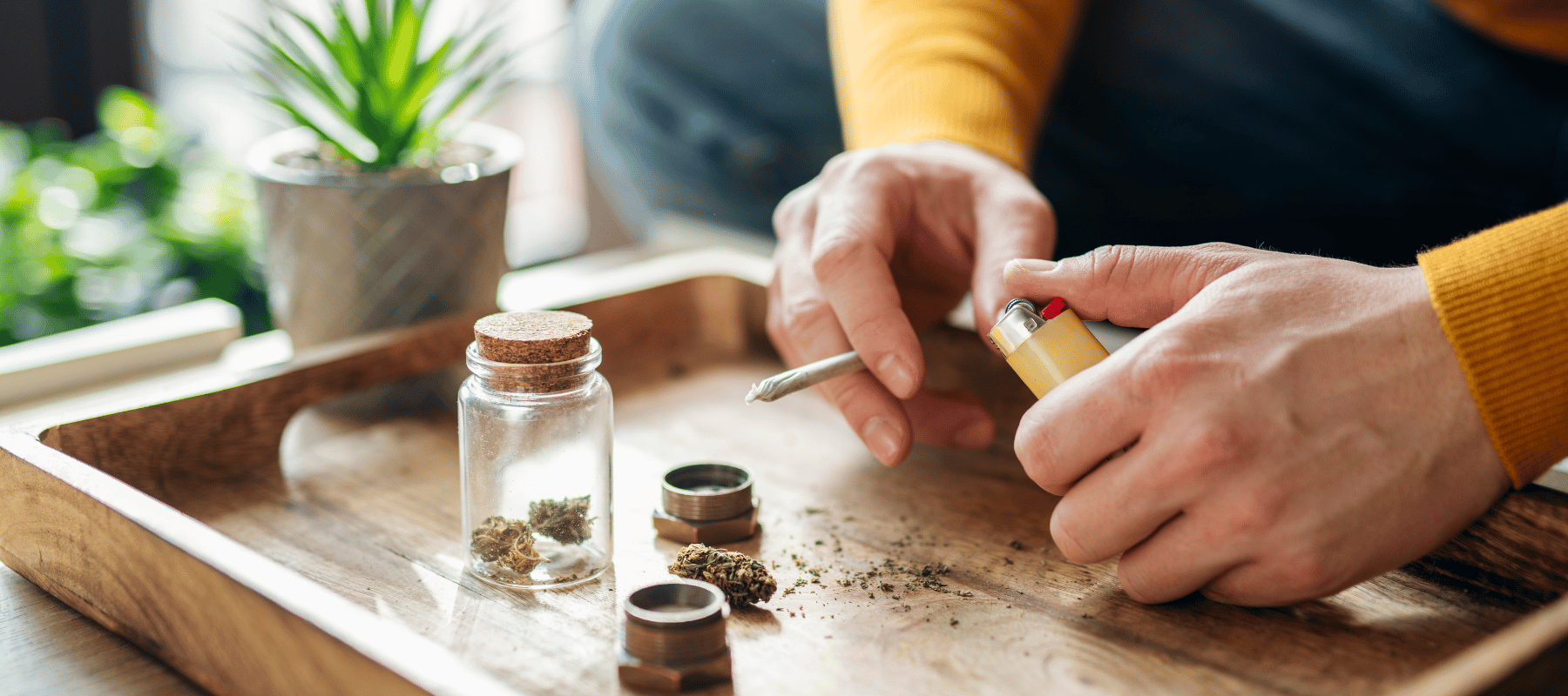 Mann hat Cannabis und einen Joint in der Hand den er sich gedreht hat CBD Blüten HHC Blüten und THCP Blüten kaufen bei CBD 040