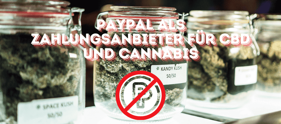 PayPal als Zahlungsanbieter bei CBD und Cannabis Shop Cannabis kaufen mit PayPal