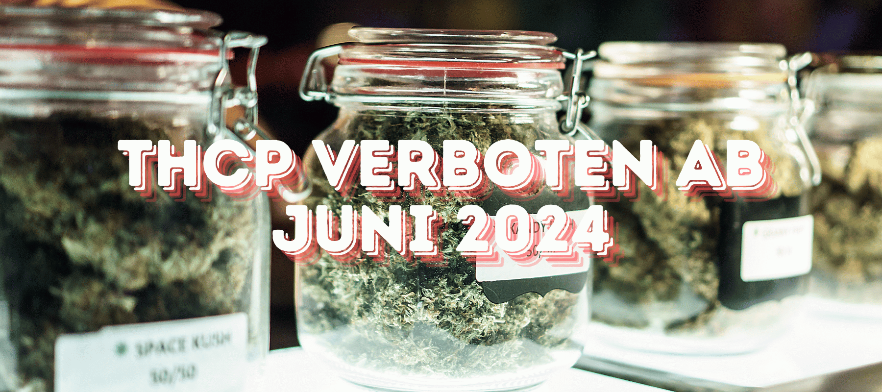 Gläser die mit Cannabis gefüllt sind und vorne ist in roter Schrift stehend THCP Verboten ab Juni 2024