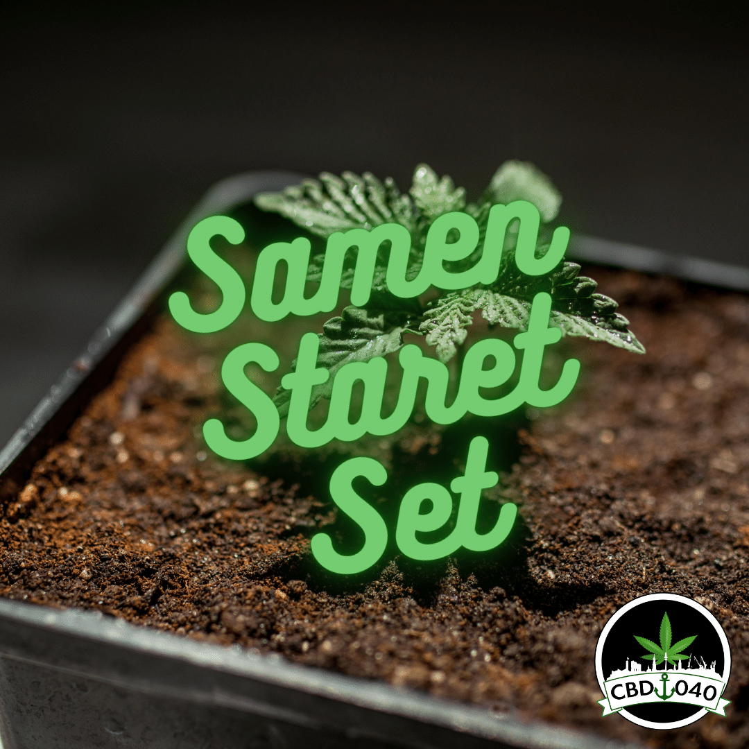 THC Cannabis Samen Starter Set für Anfänger