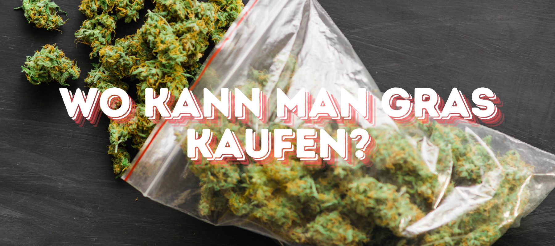 Hintergrund ist ein Beutel mit Cannabis Blüten und vorne ist in roter Schrift Wo kann man Gras kaufen