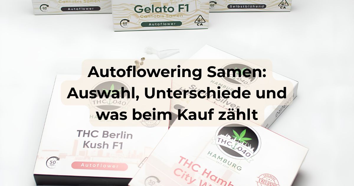 Autoflowering Cannabis Samen in der Verpackung von CBD040.