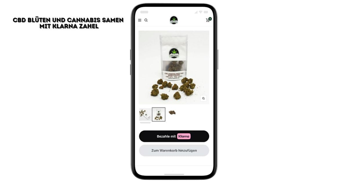 Bezahle CBD Blüten und Cannabis Samen bei cbd040.de mit Klarna