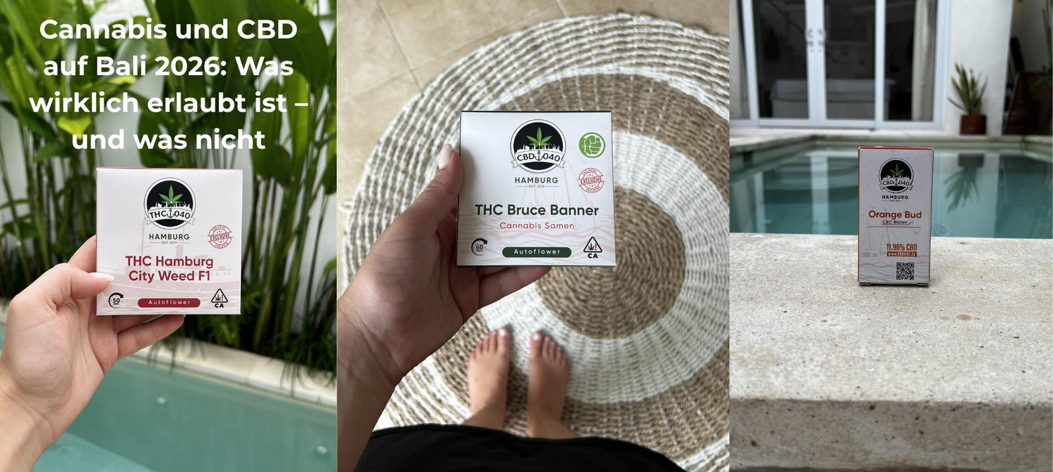 Cannabis und CBD auf Bali 2026 – Was wirklich erlaubt ist und was nicht. Produktverpackungen von CBD040 Cannabis-Samen und CBD-Blüten vor einer tropischen Villa mit Pool.