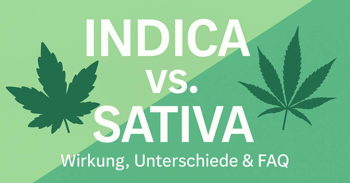 Cannabis Indica vs Sativa – Unterschiede, Wirkung und FAQ erklärt