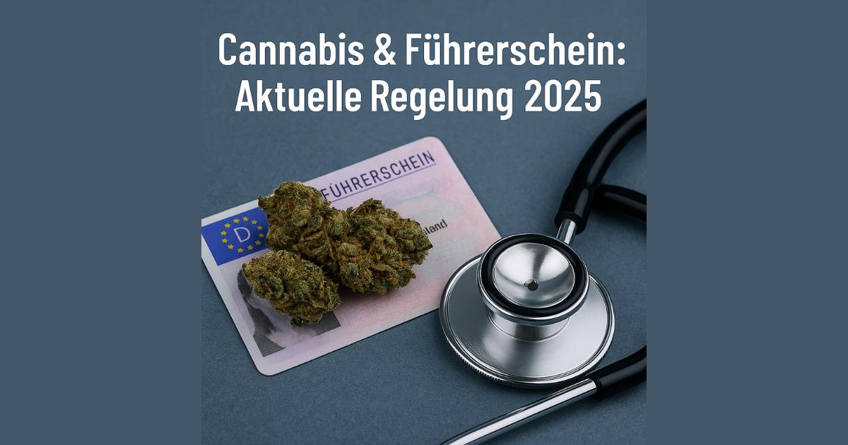 Cannabis Führerschein MPU 2025 Regelung auch für Cannabis Patienten