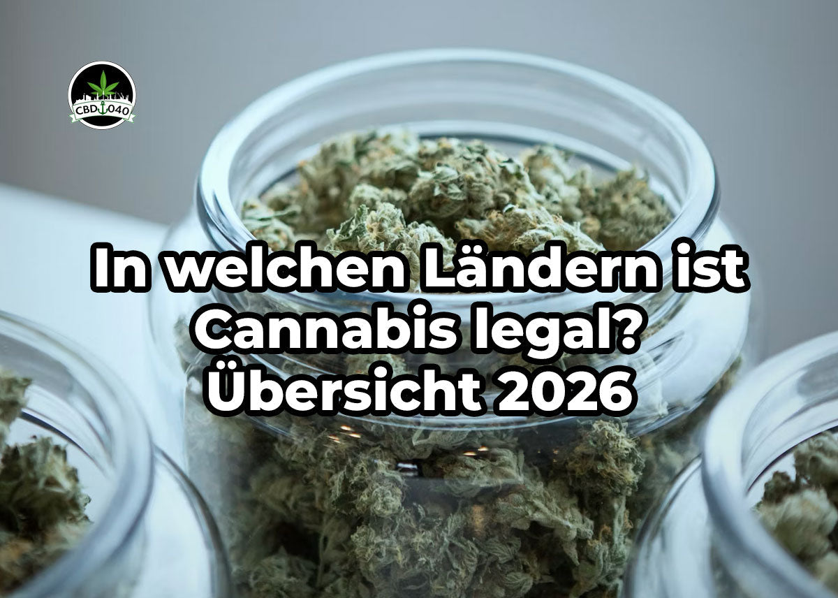 In welchen Ländern ist Cannabis legal – Weltübersicht 2026 zur Rechtslage, erklärt von CBD040.