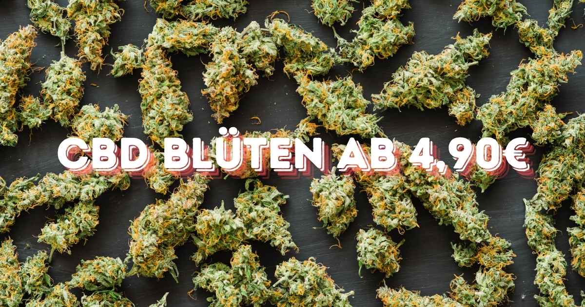 Hintergrund sind CBD bzw Cannabis Blüten und vorne ist ein Banner in roter Schrift wo steht CBD Blüten ab 4,90 euro