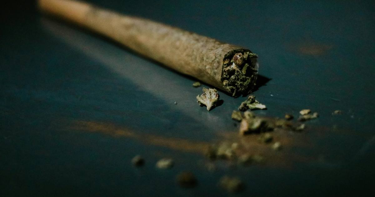 CBD Blüten Joint zum rauchen, legal in Deutschland