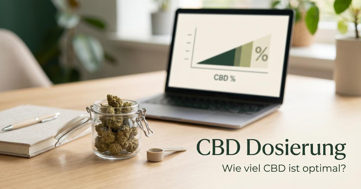 Premium CBD Blueten in einer Glasschale auf einem hellen Holztisch neben einem Notizbuch zur Dokumentation der individuellen CBD Dosierung.