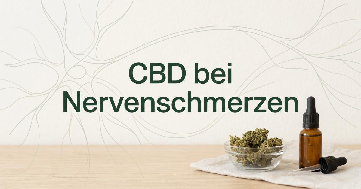 Blog-Titelbild mit dem Text „CBD bei Nervenschmerzen“ im minimalistischen, hellen Design mit dezenten CBD-Blüten und abstrakten Nervenbahnen.