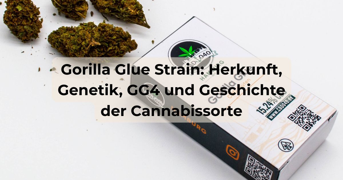 Gorilla Glue Strain Ratgeber: Gorilla Glue 040 CBD-Blüten Packung mit Titelbild-Schriftzug zu Herkunft, Genetik und GG4