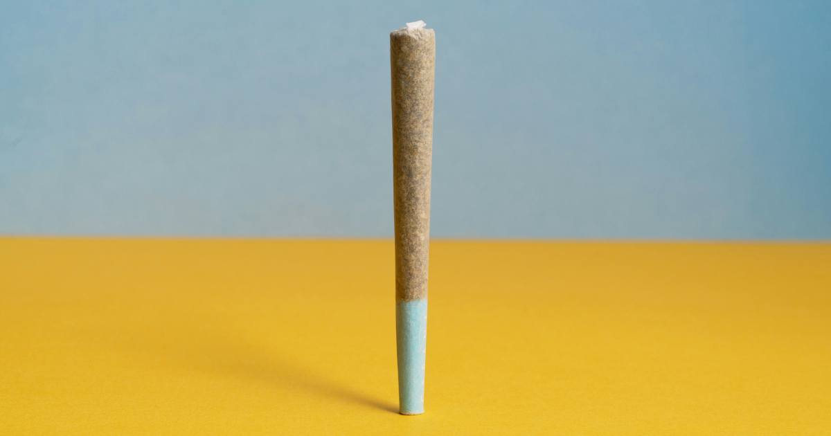 Fertiger CBD Joint kaufen – Pre Rolled Joint ohne Tabak und Nikotin legal online bestellen bei CBD040