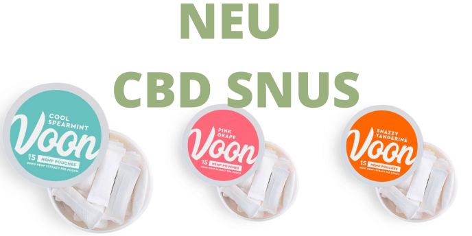 CBD Snus kaufen in Deutschland legal, die beste alternative zu Snus mit Nikotin, CBD Snus con CBD 040 ist ohne Nikotin und ohne THC