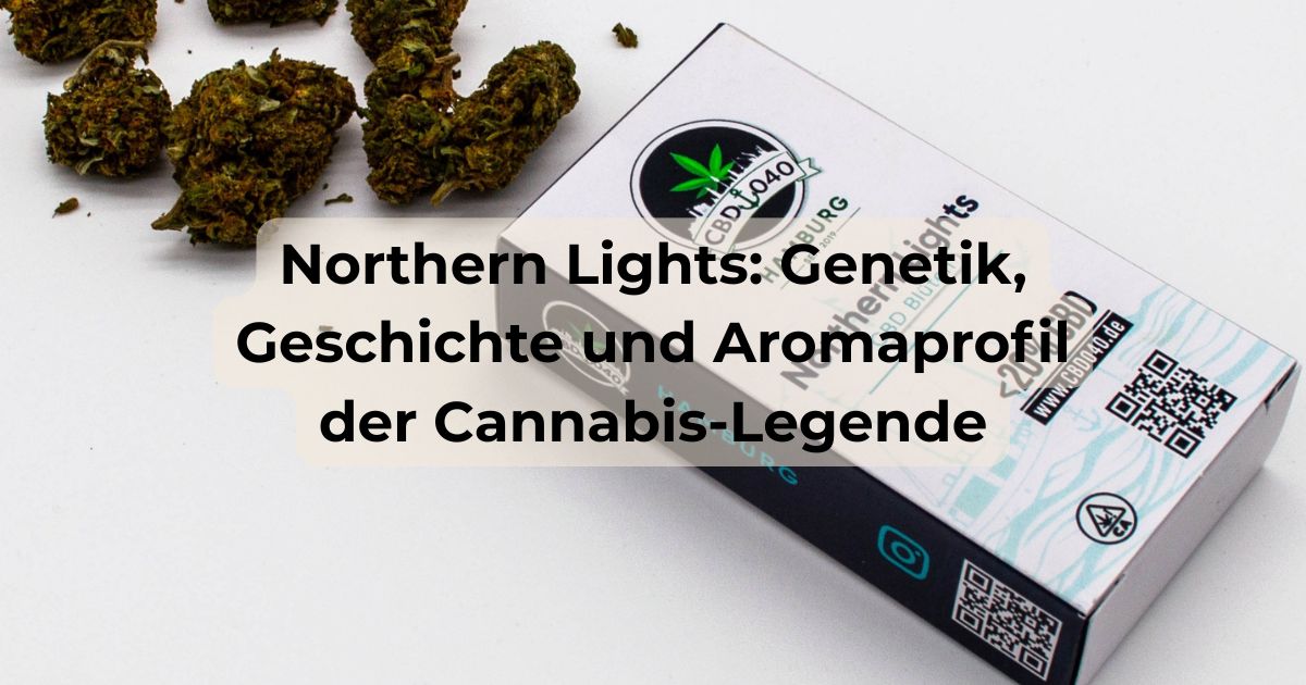 Packung Northern Lights CBD Blüten von CBD040 mit dem Blog-Titel: Northern Lights: Genetik, Geschichte und Aromaprofil der Cannabis-Legende