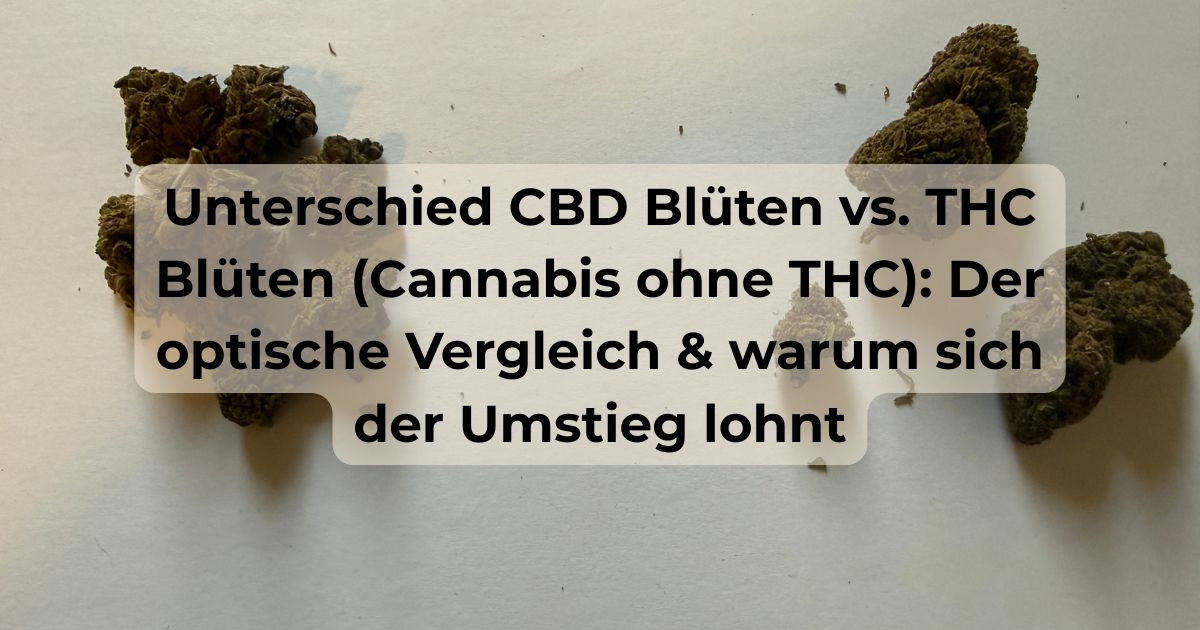 Unterschied CBD Blüten vs. THC Blüten (Cannabis ohne THC): Optischer Vergleich beider Sorten und Beitragsbild von CBD040 Hamburg