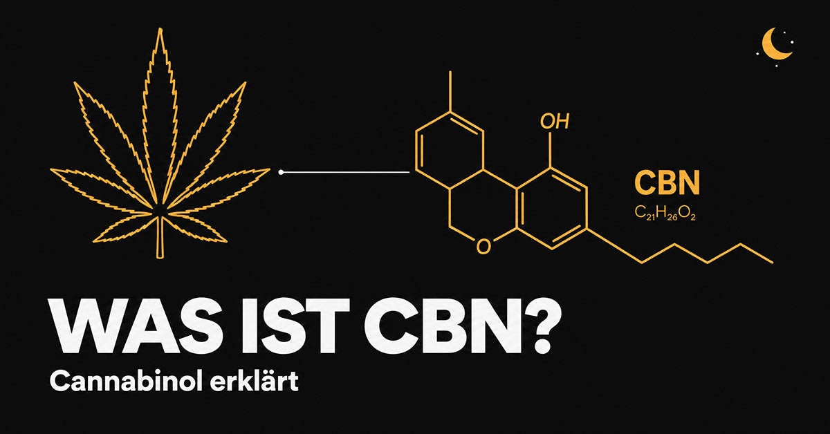 Was ist CBN? Cannabinol-Molekül und Hanfblatt – Wirkung, Blüten und Legalität erklärt von CBD040.