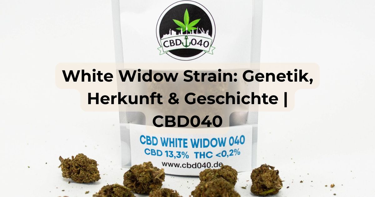 White Widow Strain: Herkunft, Genetik und die Geschichte des Klassikers