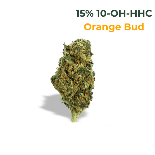 10-OH-HHC Blüten Orange Bud Legal Cannabis kaufen