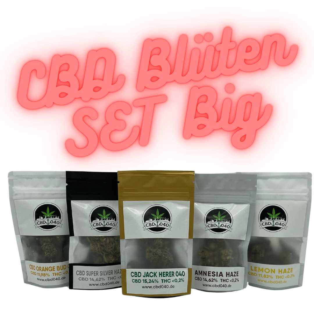 Weißer Hintergrund vorne sind 5 Packung CBD Blüten abgebildet von CBD 040 und oben steht CBD Blüten Set Big