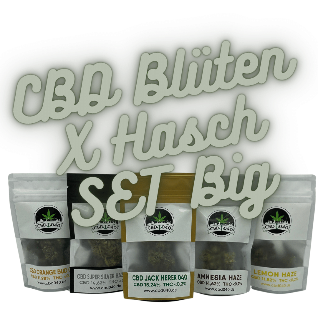 Hinten sind 5 Packungen CBD Blüten und vorne steht in Grau CBD Blüten x Hasch Set Big