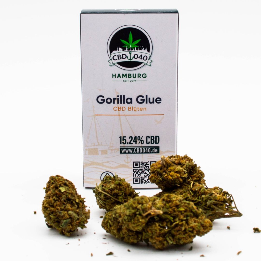 CBD Blüten der Sorte Gorilla Glue– CBD Blüten kaufen bei CBD 040, Cannabis ohne Rezept legal bestellen und sicher zahlen mit Klarna & Kauf auf Rechnung
