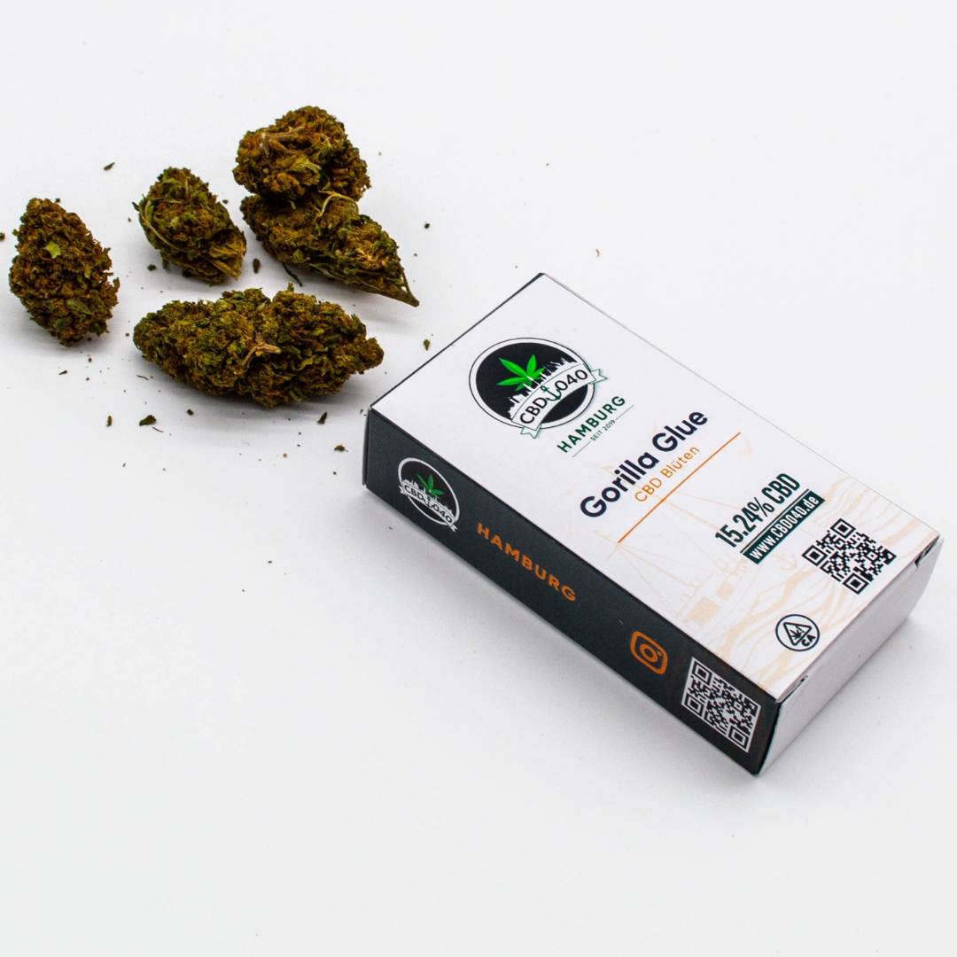 CBD Blüten der Sorte Gorilla Glue 2– CBD Blüten kaufen bei CBD 040, Cannabis ohne Rezept legal bestellen und sicher zahlen mit Klarna & Kauf auf Rechnung