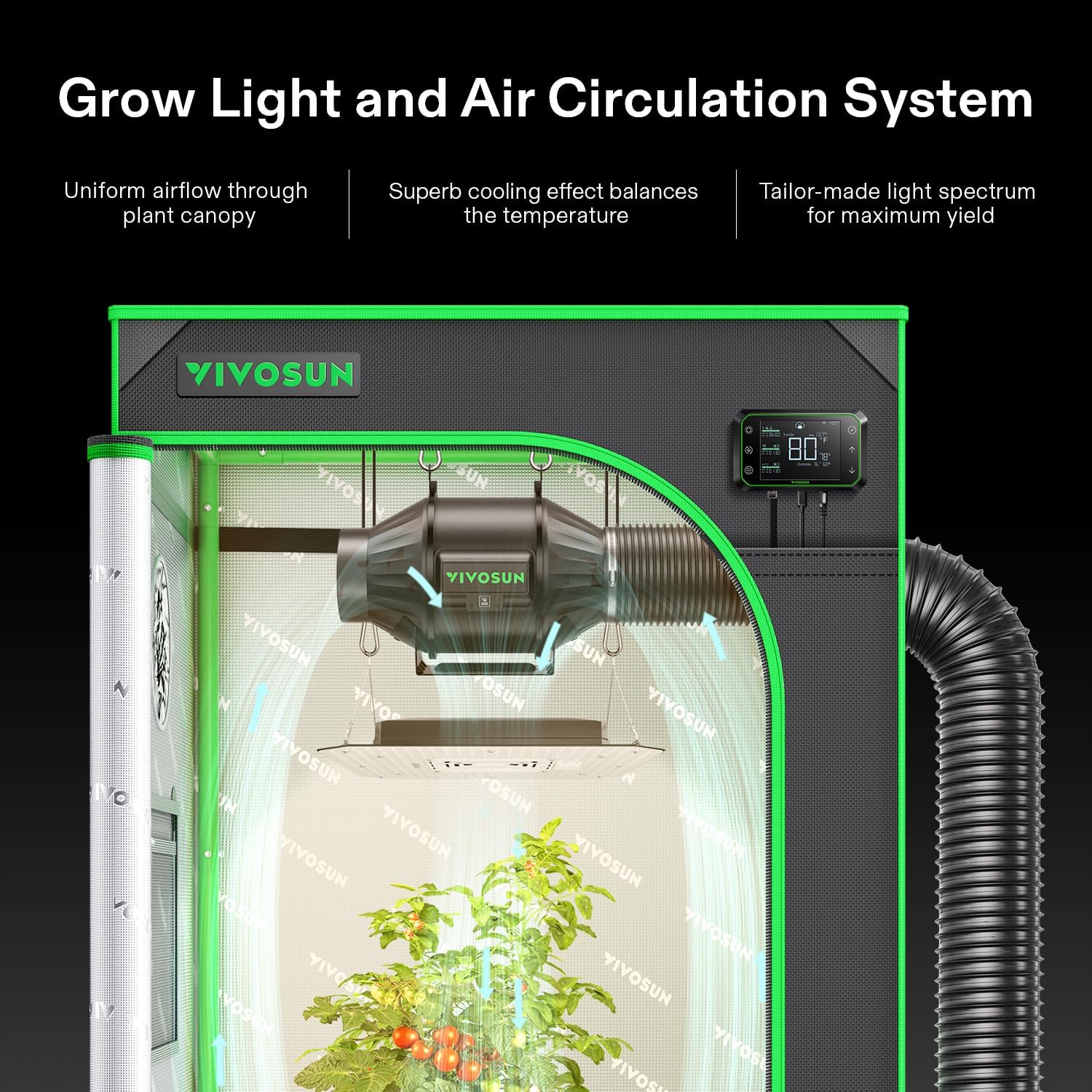 Growbox Komplettset: Dein perfekter Start in den Eigenanbau von Cannabis - Ideal für Anfänger