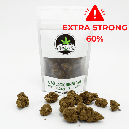 Jack Herer Extra Strong Cannabis Blüten Legal kaufen Cannabis ohne Repezt