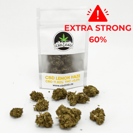 Lemon Haze Extra Strong Cannabis Blüten Legal kaufen Cannabis ohne Repezt