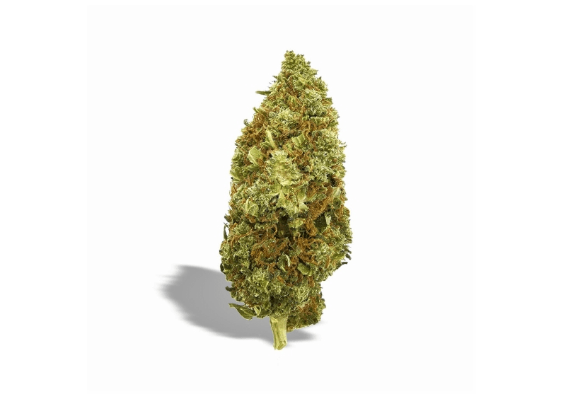 THCP Blüten Amnesia Haze 040 - 10% THCP