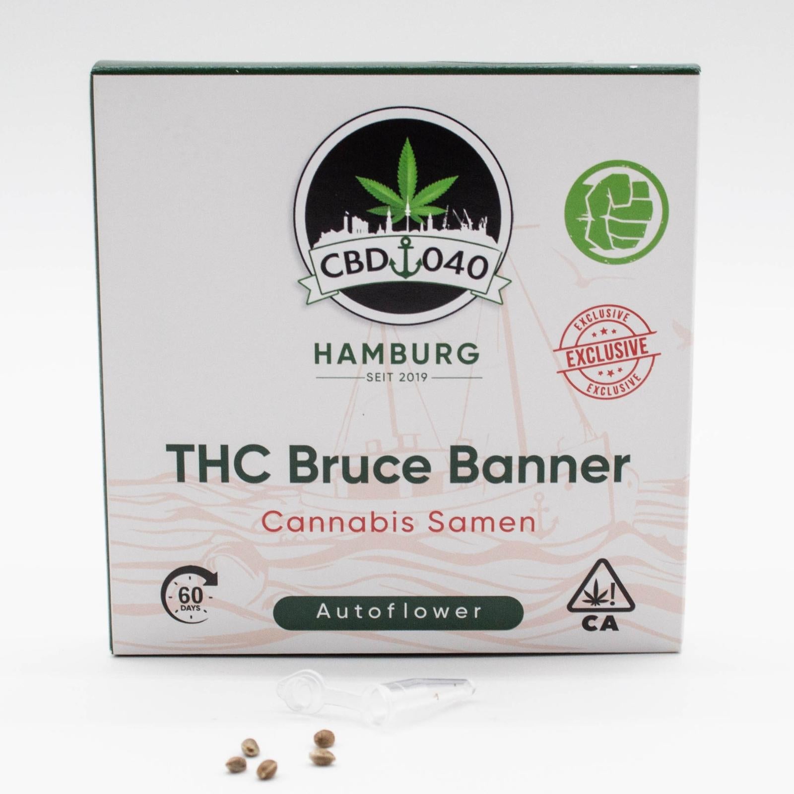 Bruce Banner Autoflower Cannabissamen kaufen bei CBD040