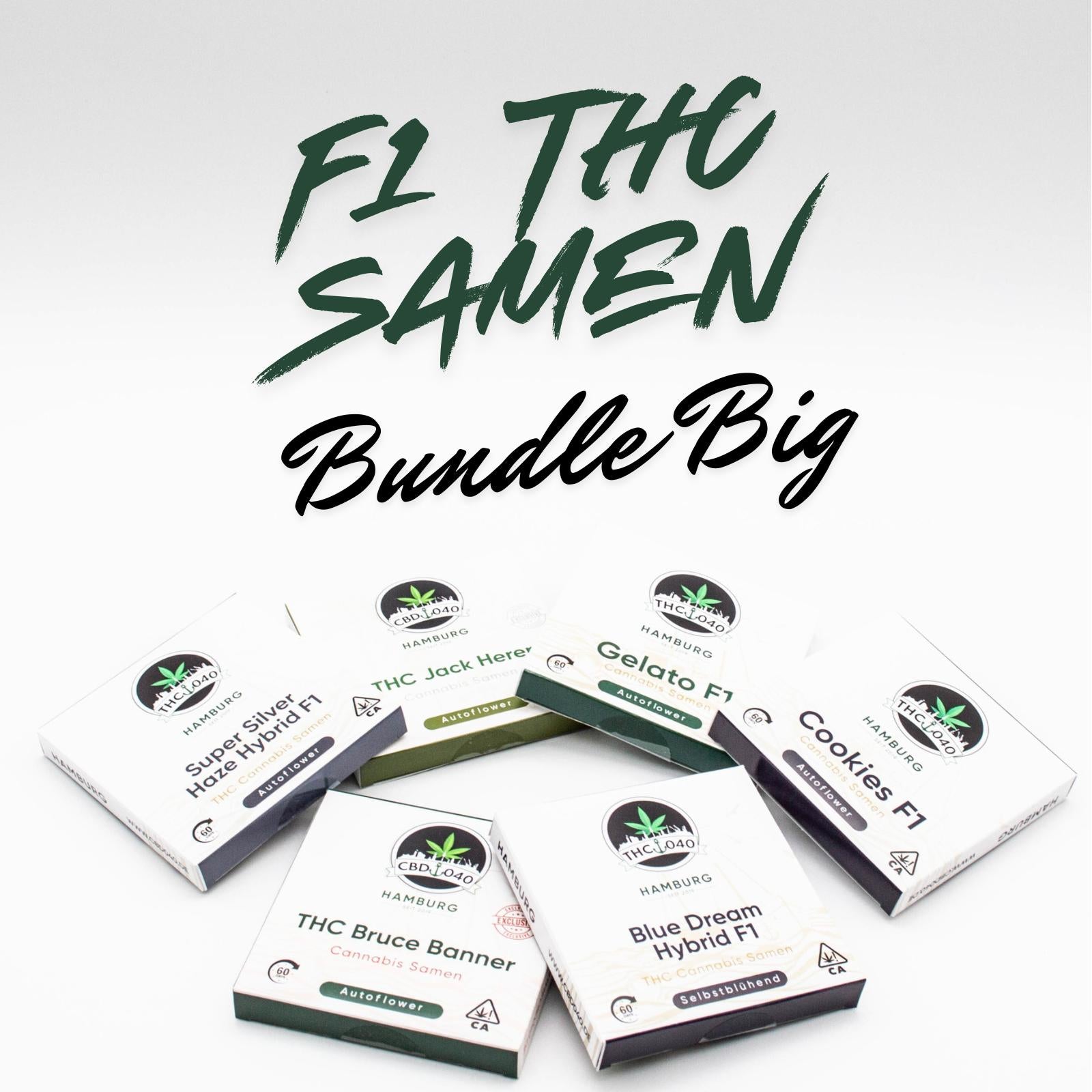 F1 THC Cannabis Samen Bundle kaufen – die schnellsten Cannabis Samen der Welt für den Eigenanbau – Autoflower & Hybrid Sorten wie Jack Herer, Gelato, Bruce Banner, Blue Dream, Cookies – legal bestellen bei CBD040.