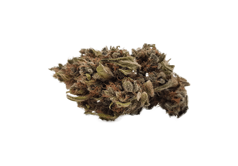 CBD Choco 040 | CBD Blüten -CBD Kaufen in Hambur | CBD Blüten 100% Natural | CBD Buds | CBD 040